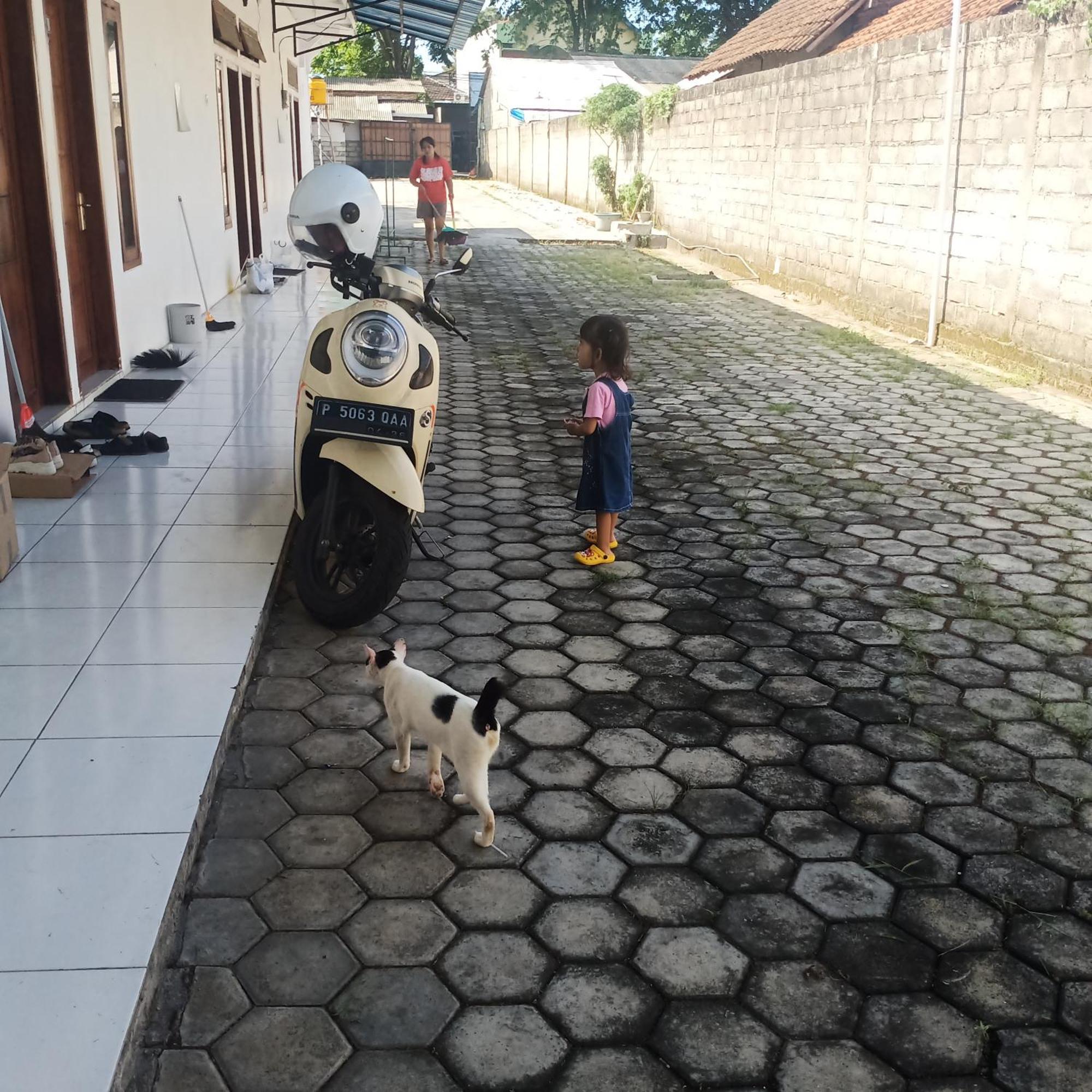 Mentari Kost Bed & Breakfast Banyuwangi  Dış mekan fotoğraf